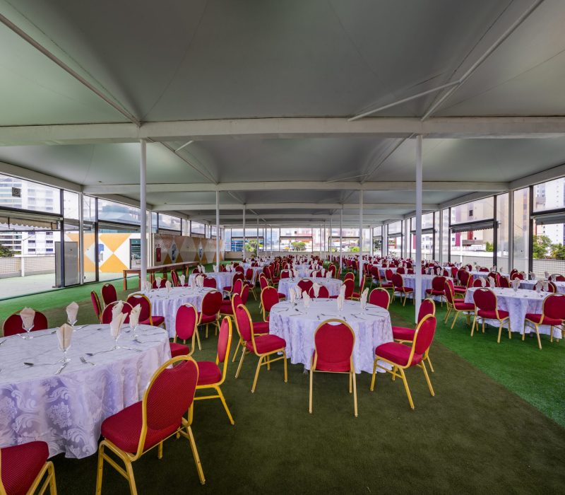 Salao_vitoria_regia (2)